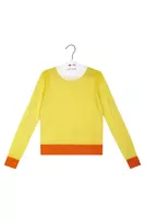 Sunny Yellow and Ivory Sweater image