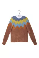 Blue and Brown Zig Zag Printed Sweater  image