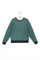 Dusty Green and Charcoal Sweater  image