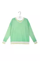 Apple Green and Powder Blue Sweater  image