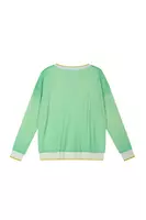 Apple Green and Powder Blue Sweater  image