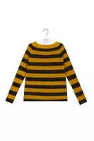 Saffron and Brown Striped Sweater  image