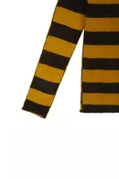 Saffron and Brown Striped Sweater  image