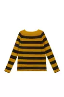 Saffron and Brown Striped Sweater  image