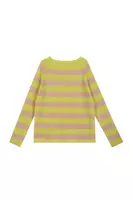 Lime and Antique Rose Striped Sweater  image