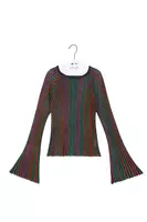 Metallic Jewel Tone Striped Knit Top  image