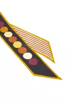 Black and Mustard Circle and Stripe Silk Neckerchief  image