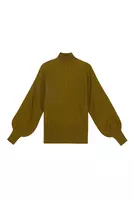 Oil Leaf Pointelle Turtleneck  image