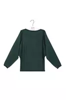 Sparkly Bottle Green Sweater  image