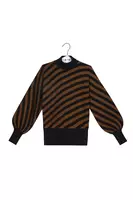 Bronze Metallic Diagonal Striped Turtleneck  image