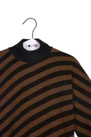 Bronze Metallic Diagonal Striped Turtleneck  image