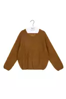 Caramel Brown Sweater  image