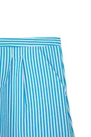 Aqua Blue Striped Beach Shorts  image