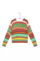 Maglione Stampato a Righe Multicolore image