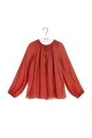 Brick Chiffon Blouse image