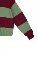 Maglione a Righe Verde Salvia e Bordeaux image