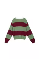 Maglione a Righe Verde Salvia e Bordeaux image