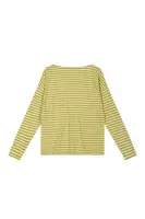 Oil Green and Ivory Striped T-Shirt  image