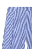 Sky Blue Striped Trousers image