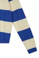 Royal Blue Bold Striped Sweater  image