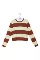 Mocha Brown Bold Striped Sweater  image