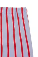 Sky Blue and Red Striped Trousers   image