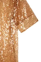 Abito a Tunica in Paillettes Marrone Caramello image