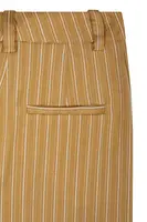 Pantaloni Dorati a Righe image
